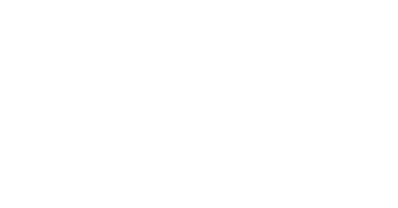 corporate mission
